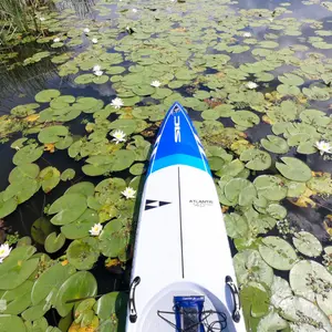 sup