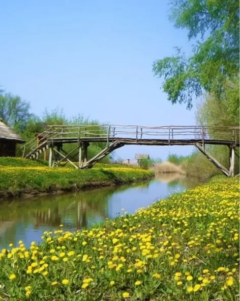 tiszafured