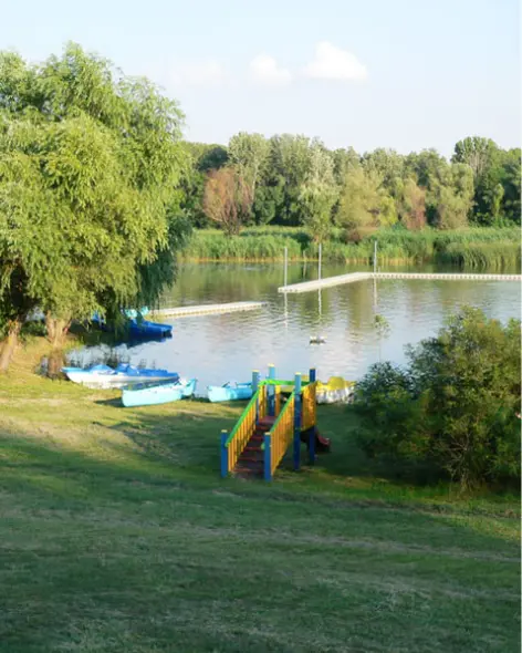 tiszanana